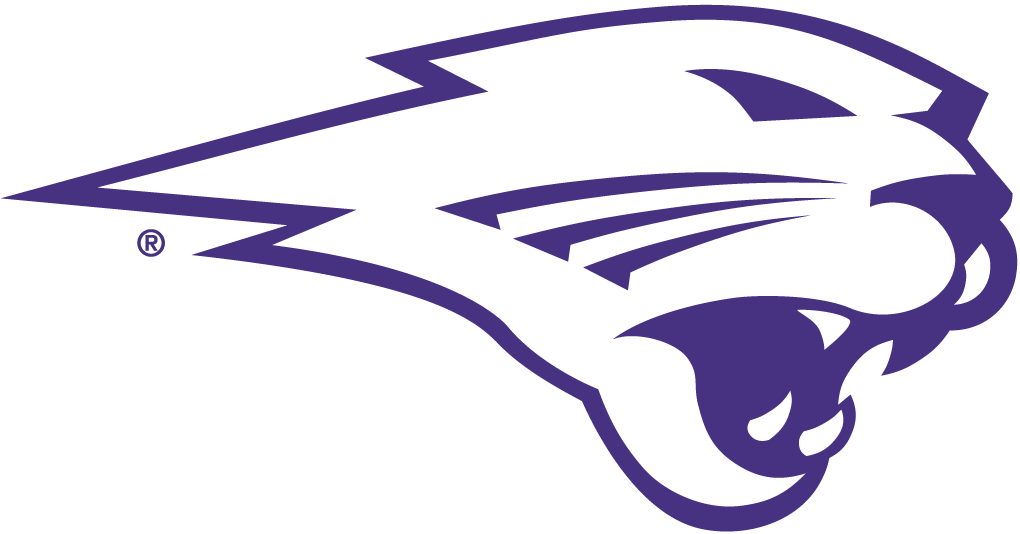 Northern Iowa Panthers 2002-Pres Partial Logo v2 diy iron on heat transfer